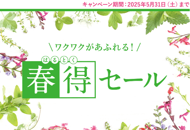 春得セール