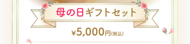 母の日ギフトセット￥5,000円(税込)