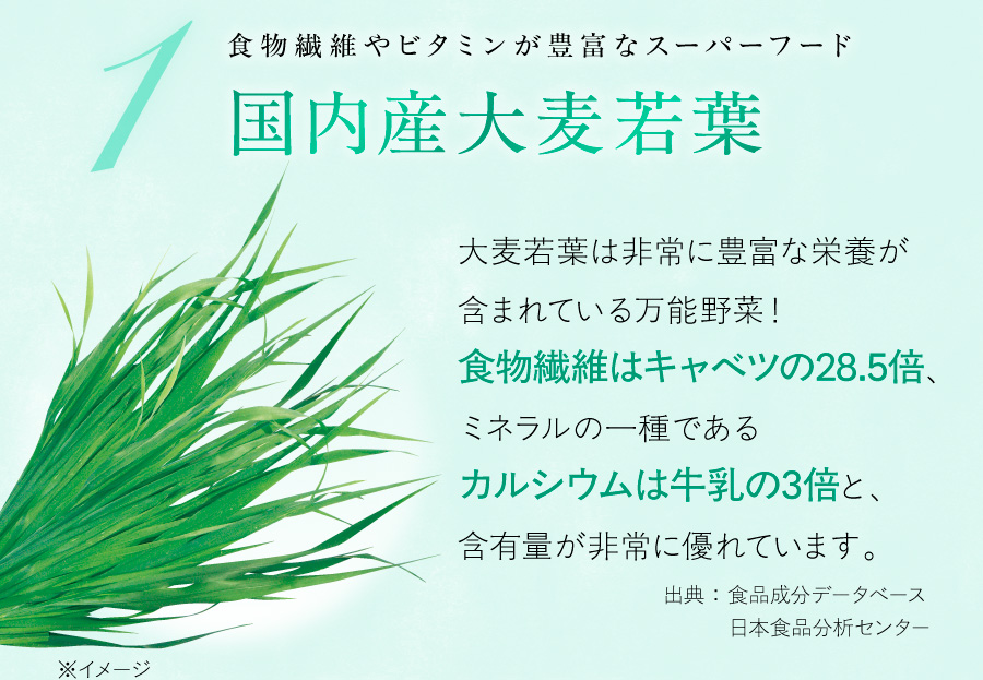 1.食物繊維やビタミンが豊富なスーパーフード『国内産大麦若葉』
