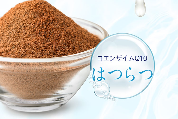 コエンザイムQ10 元気の源