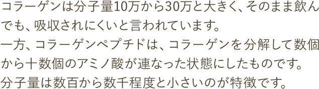 コラーゲンは分子量10万から30万と大きく、そのまま飲んでも、吸収されにくいと言われています。
                            一方、コラーゲンペプチドは、コラーゲンを分解して数個から十数個のアミノ酸が連なった状態にしたものです。
                            分子量は数百から数千程度と小さいのが特徴です。