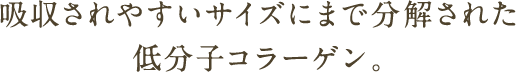 吸収されやすいサイズにまで分解された低分子コラーゲン。