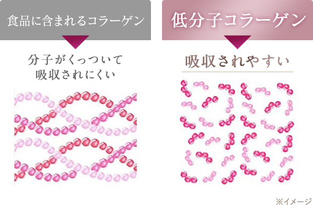図解。食品に含まれるコラーゲンは分子がくっついて吸収されにくい。低分子コラーゲンは吸収されやすい。※イメージ