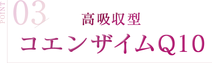 POINT 03 高吸収型コエンザイムQ10