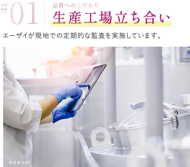 品質へのこだわり 生産工場立ち会い エーザイが現地での定期的な監査を実施しています