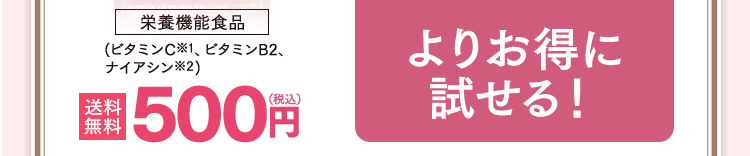 栄養機能食品(ビタミンC※1、ビタミンB2、ナイアシン※2) 送料無料 500円（税込）