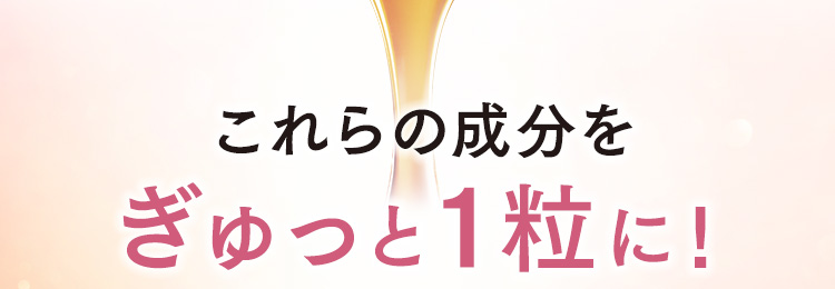 これらの成分をぎゅっと１粒に！