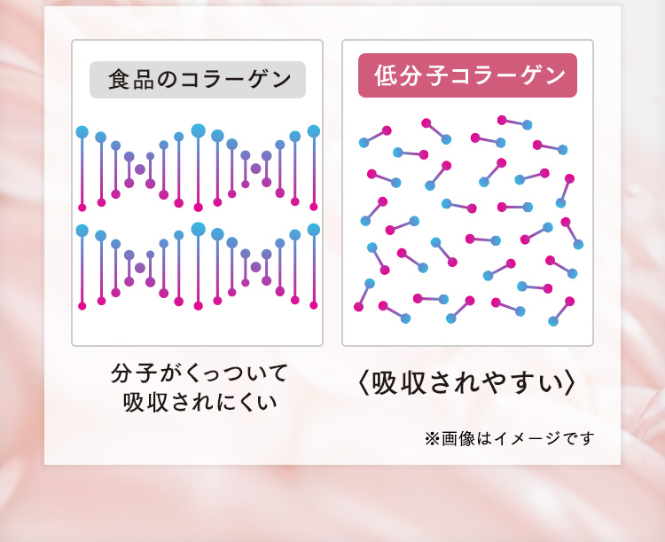 食品のコラーゲン 分子がくっついて吸収されにくい 低分子コラーゲン 〈吸収されやすい〉 ※画像はイメージです