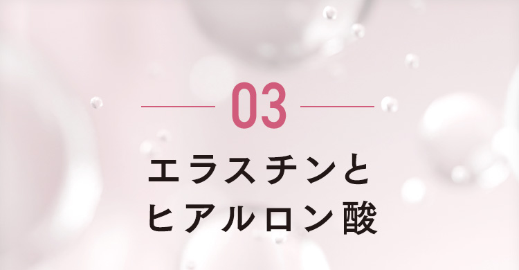 03 エラスチンとヒアルロン酸