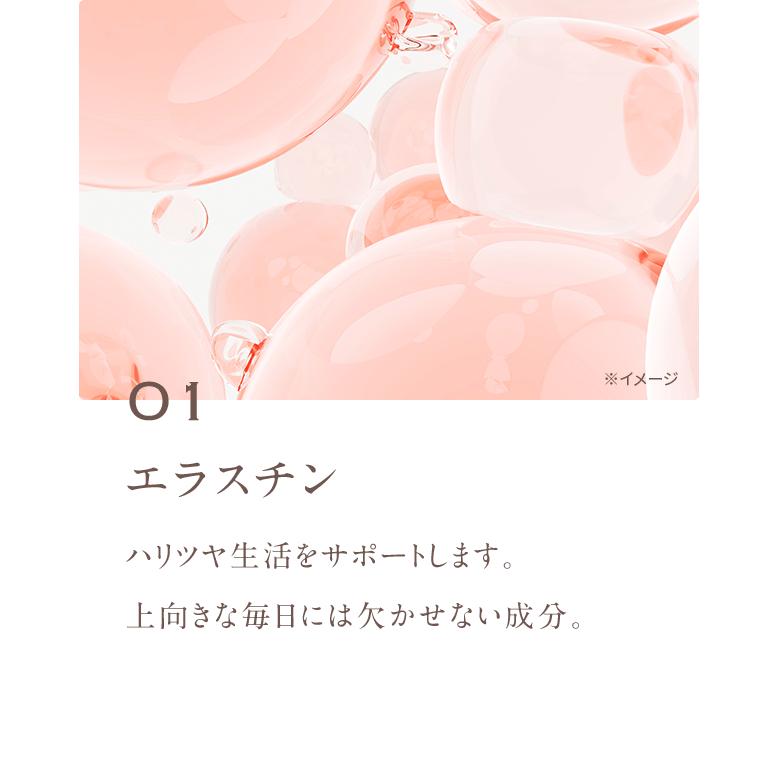 01 エラスチン ハリツヤ生活をサポートします。 上向きな毎日には欠かせない成分。