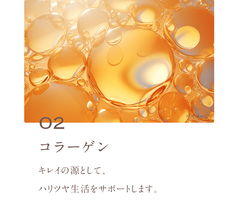 02 コラーゲン キレイの源として、 ハリツヤ生活をサポートします。