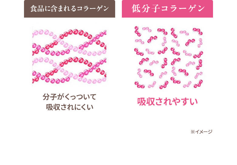 食品に含まれるコラーゲン、低分子コラーゲン