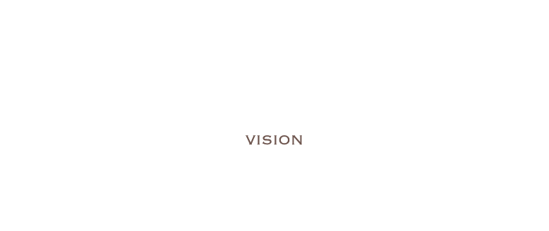 Vision