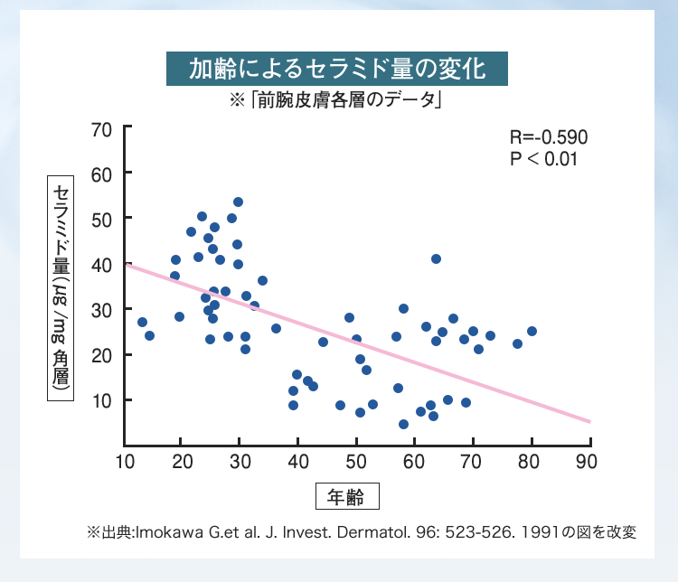 加齢によるセラミド量の変化 ※「前腕皮膚各層のデータ」
