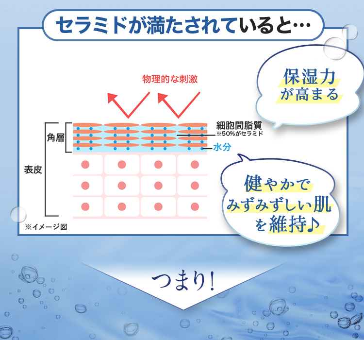 セラミドが満たされていると… バリア機能（保湿力）が高まる 健やかでみずみずしい肌を維持 つまり！