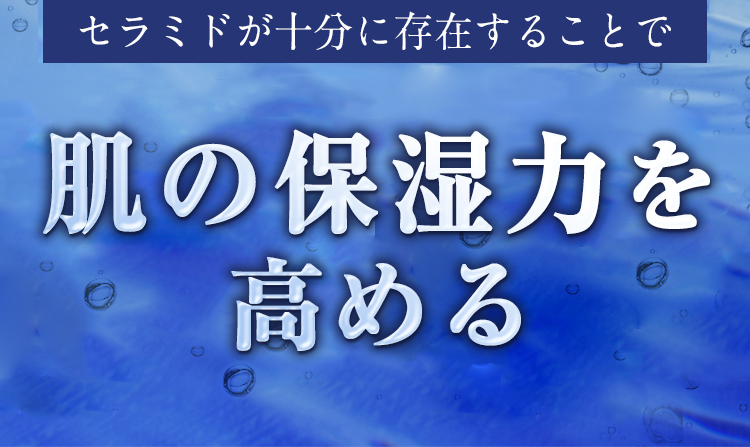 セラミドが十分に存在することで 肌のバリア機能（保湿力）アップ！
