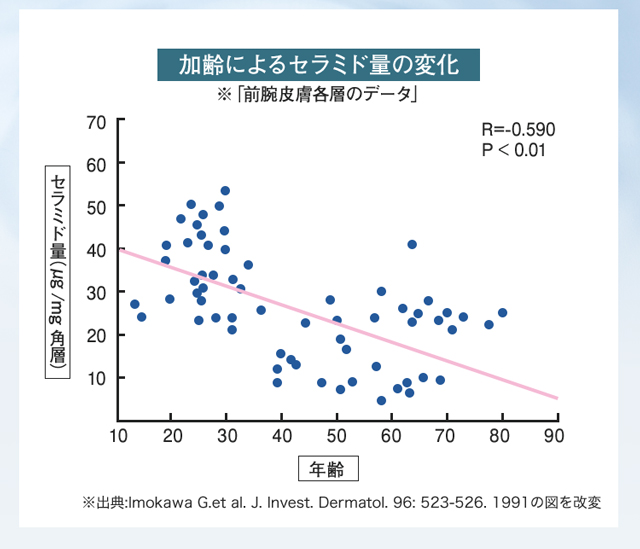 加齢によるセラミド量の変化 ※「前腕皮膚各層のデータ」