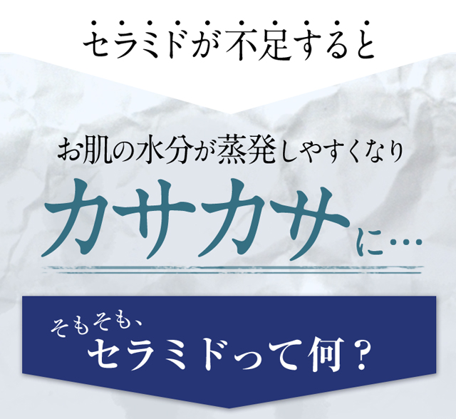 セラミドが不足するとお肌の⽔分が蒸発しやすくなりカサカサに…そもそもセラミドって何？