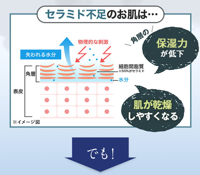 セラミド不足のお肌は… 角質のバリア機能（保湿力）が低下 肌が乾燥しやすくなる でも！