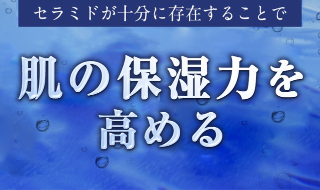セラミドが十分に存在することで 肌のバリア機能（保湿力）アップ！