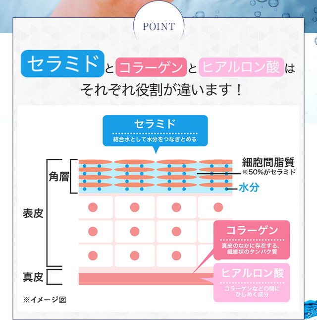 POINT セラミド・コラーゲン・ヒアルロン酸はそれぞれ役割が違います！