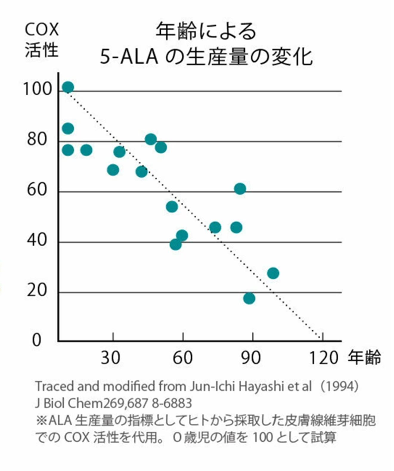 年齢による5-ALAの生産量の変化