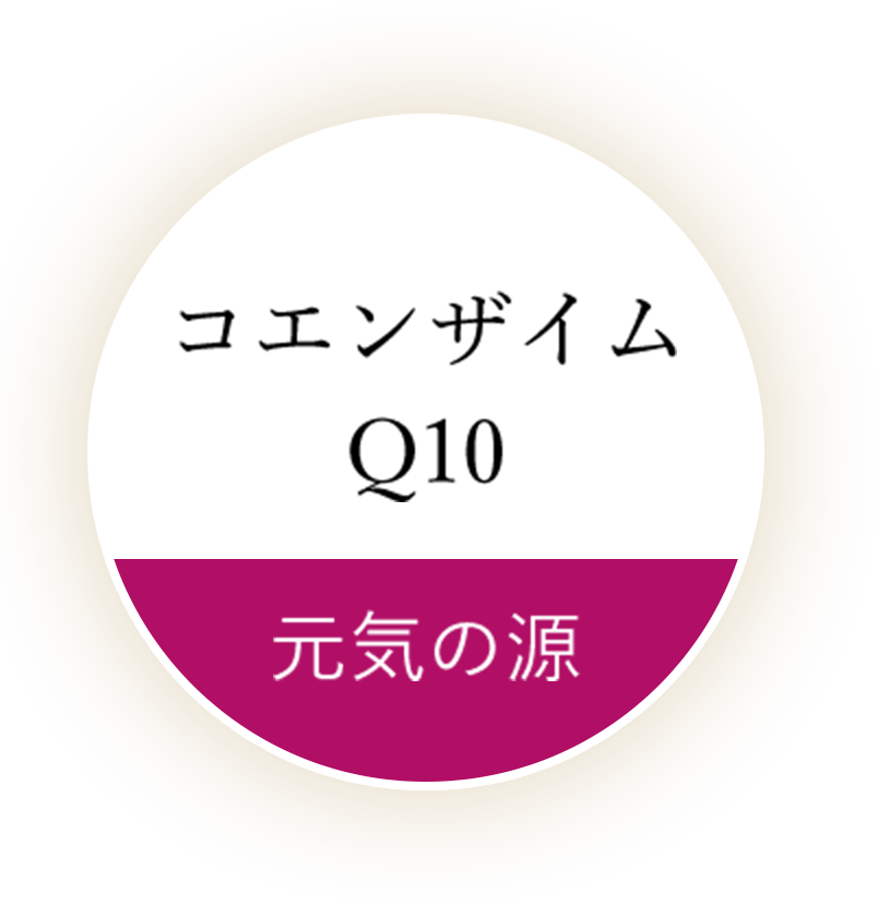 コエンザイム Q10 元気の源