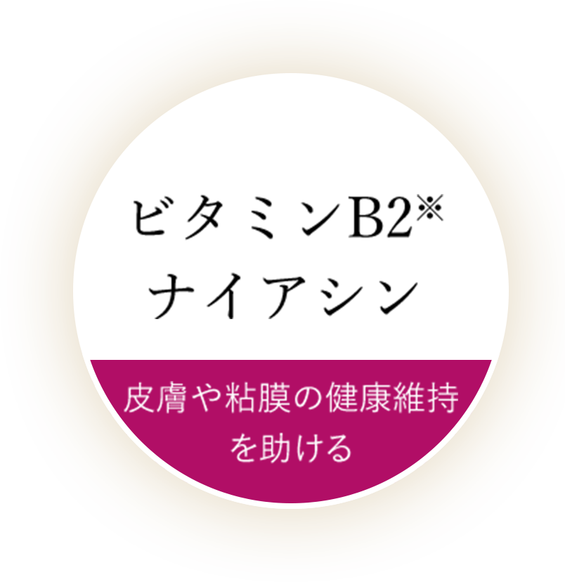 ビタミンB2 ナイアシン 皮膚や粘膜の健康維持を助ける