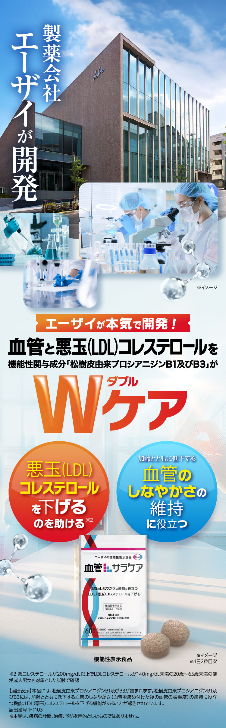 製薬会社エーザイが開発した機能性表示食品「血管+サラケア」です。本製品は、松樹皮由来プロシアニジンB1及びB3を含み、血管のしなやかさ維持や悪玉（LDL）コレステロールの低下をサポートすることが特徴です。加齢とともに低下する血管の柔軟性維持を助け、健康をサポートします。1日2粒目安のサプリメントで、機能性が確認された成分を配合。