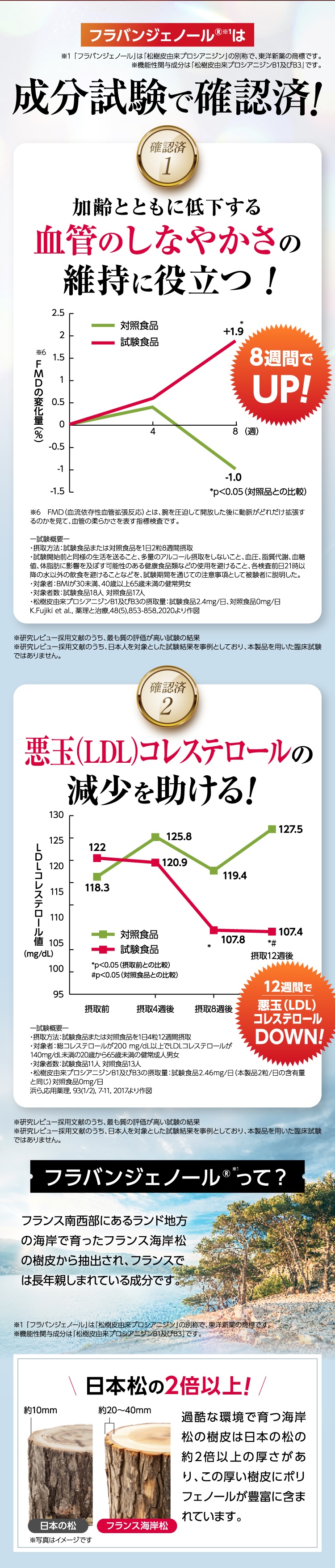 フラバンジェノール®（松樹皮由来プロシアニジン）が血管のしなやかさ維持や悪玉（LDL）コレステロールの減少を助けることを成分試験で確認した広告です。8週間で血管のしなやかさが向上し、12週間でLDLコレステロールが低下します。フランス海岸松の樹皮は日本の松の2倍以上の厚みがあり、ポリフェノールが豊富に含まれています。
