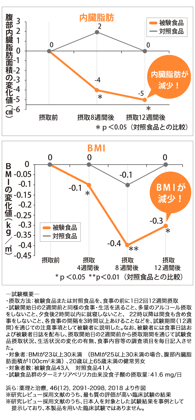 内臓脂肪とBMIの変化