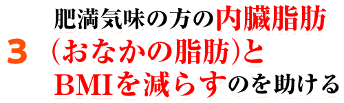 肥満気味な方の内臓脂肪とBMIを減らすのを助ける