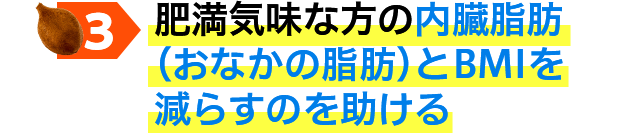 肥満気味な方の内臓脂肪（おなかの脂肪）とBMIを減らすのを助ける