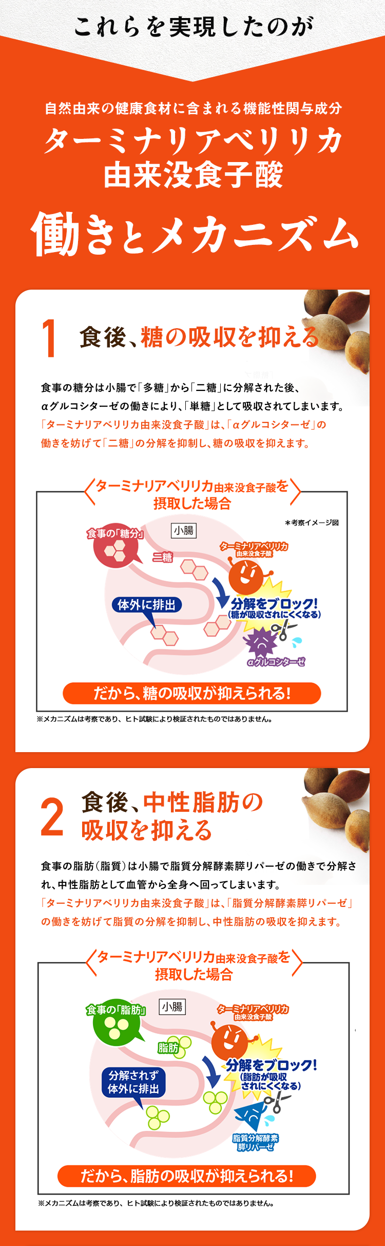 これらを実現したのが自然由来の健康食材に含まれる機能性関与成分ターミナリアベリリカ由来没食子酸。働きとメカニズム、１：食後、糖の吸収を抑える　２：食後、中性脂肪の吸収を抑える　３：肥満気味な方の内臓脂肪（おなかの脂肪）とBMIを減らすを助ける成分を配合