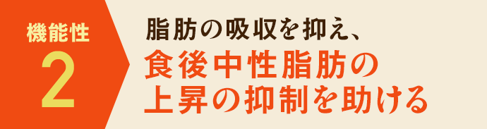 食後の中性脂肪の上昇を抑える