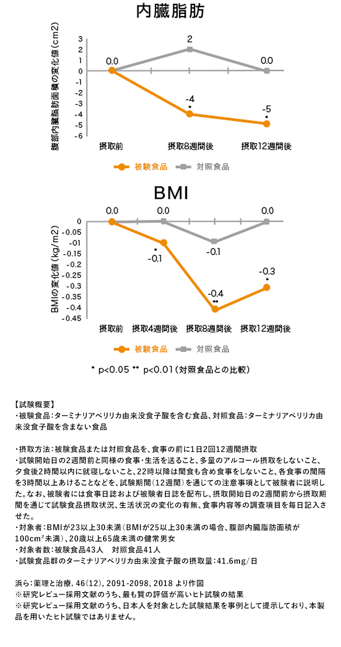 内臓脂肪とBMIの変化