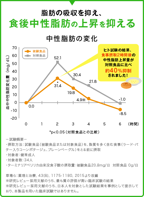 脂肪の吸収を抑え、食後中性脂肪の上昇を抑える