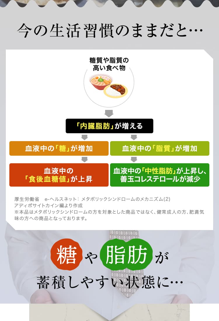 今の生活習慣のままだと…糖や脂肪が蓄積しやすい状態に…