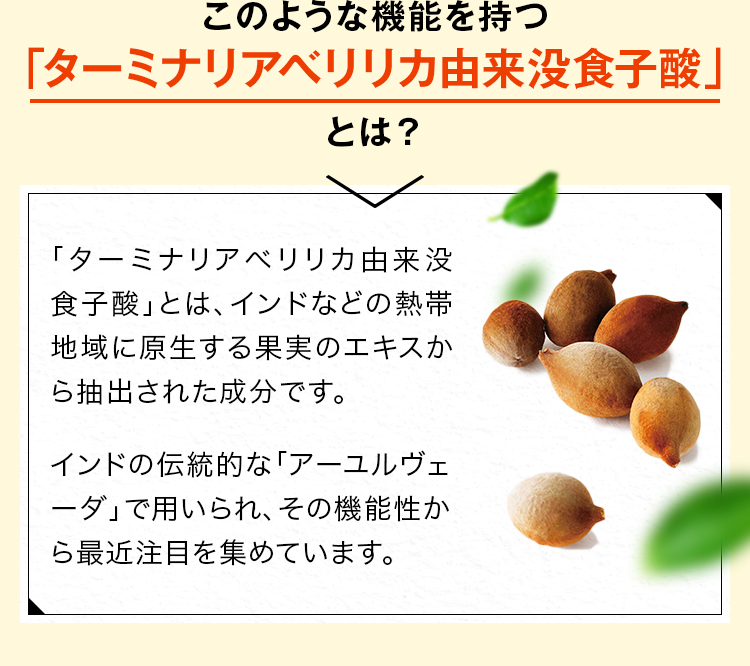 このような機能を持つ「ターミナリアべリリカ由来没食子酸」とは？