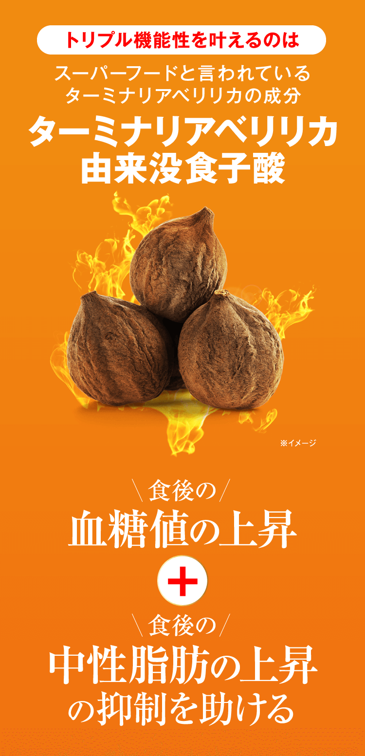 トリプル機能性を叶えるのはターミナリアベリリカ由来没食子酸スーパーフードと言われているターミナリアべリリカの成分　食後の血糖値の上昇+食後の中性脂肪の上昇の抑制を助ける