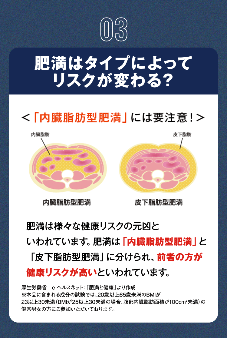 03:肥満はタイプによってリスクが変わる？　「内臓脂肪型肥満」には要注意　肥満は様々な健康リスクの元凶といわれています。肥満は「内臓脂肪型肥満」と「皮下脂肪型肥満」に分けられ、前者の方が健康リスクが高いといわれています。